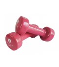 Vinyl-coated dumbbells 2 kg x2