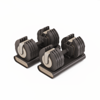 Adjustable Dumbbells Centr Smart Stack 50 (2 x 22,5 kg) Adjustable Dumbbells Centr Smart Stack 50 (2 x 22,5 kg)