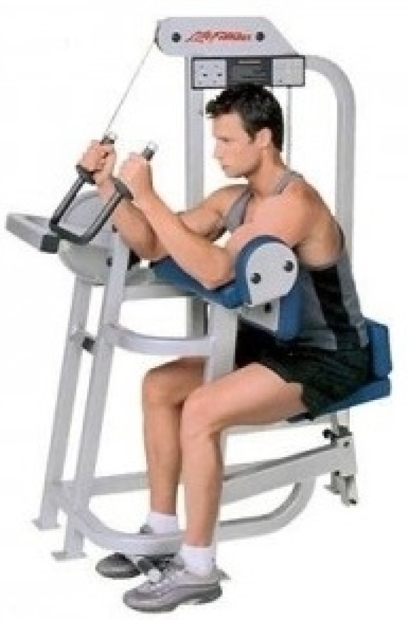 Life Fitness Pro 9000 Triceps Extension