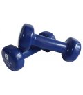 Vinyl-coated dumbbells 1 kg x2