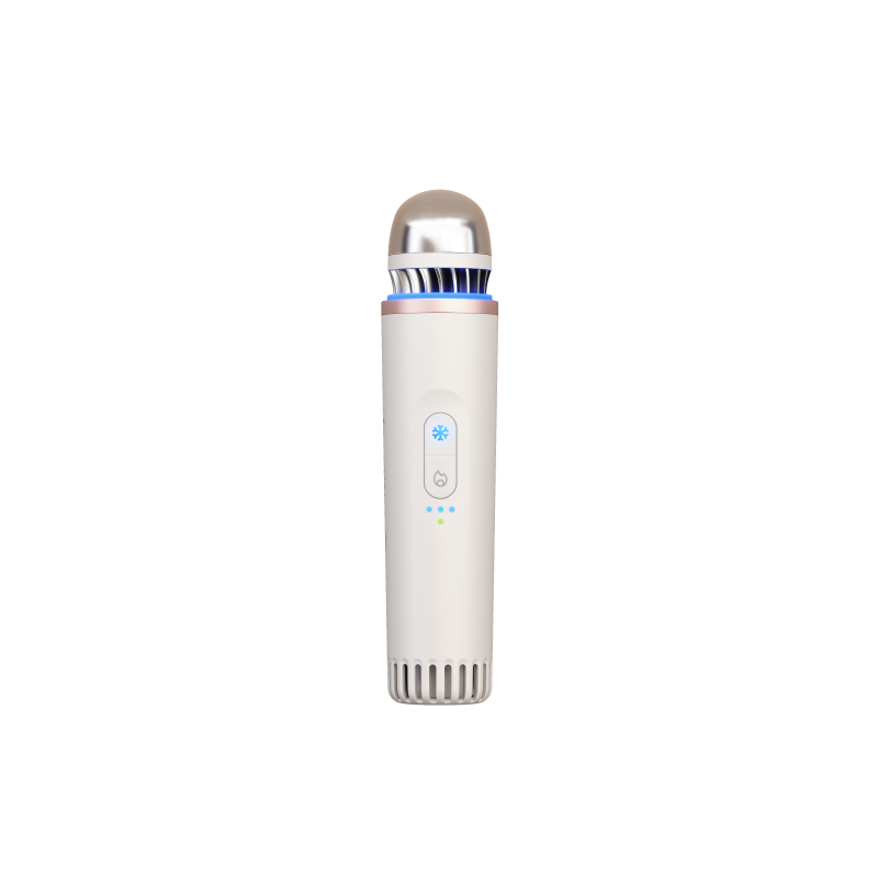 TheraFace Depuffing Wand, white