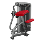 Insignia series Triceps Extension
