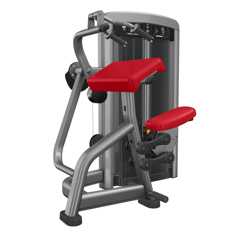Insignia series Triceps Extension
