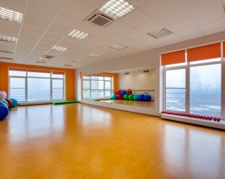 Ķeguma novada dienas centrs