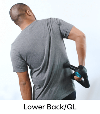 Lower Back/QL Lower Back/QL