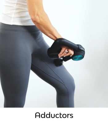 Adductors Adductors