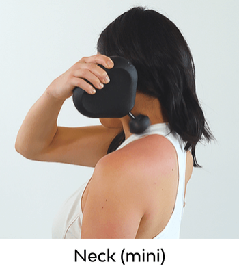 Neck (mini) Neck (mini)