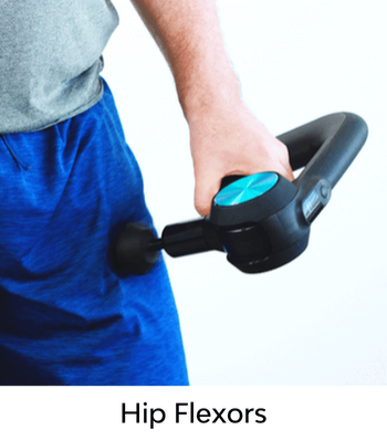 Hip Flexors Hip Flexors