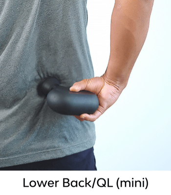 Lower Back/QL (mini) Lower Back/QL (mini)