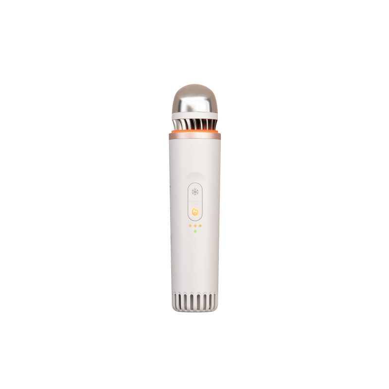 TheraFace Depuffing Wand, white